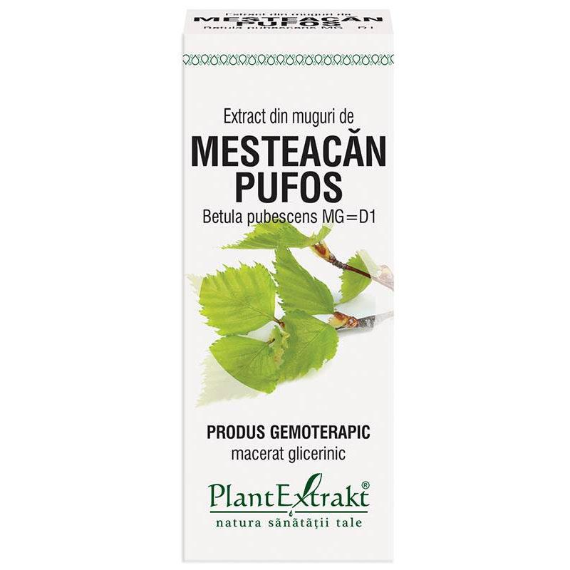 Extract Muguri Mesteacan Pufos 50ml PlantExtrakt