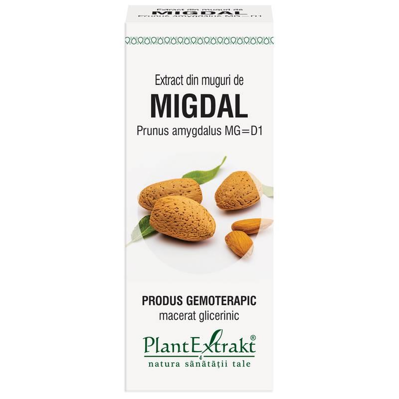 Extract Muguri Migdal 50ml PlantExtrakt