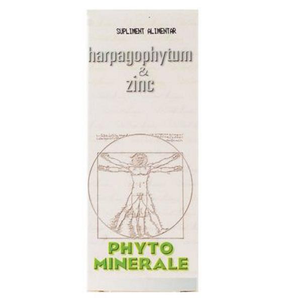 Harpagophytum si Zinc Medica 60cps