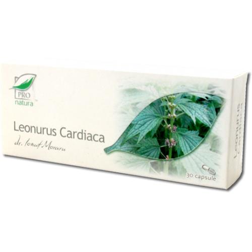 Leonorus Cardiaca Medica 30cps