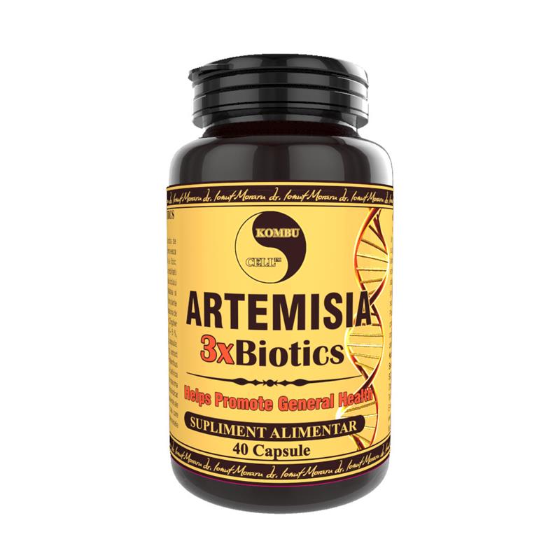 Artemisia 3xBiotics 40 capsule Medica