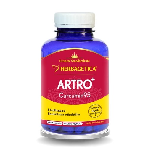Artro+ Curcumin 95 120cps Herbagetica