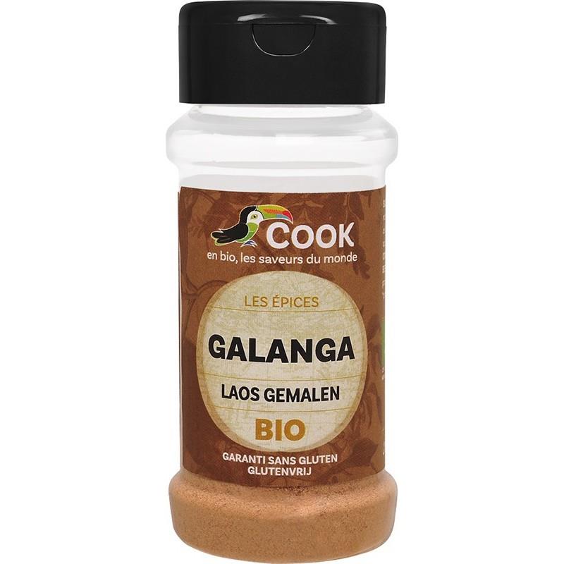 Condiment Galangal Pudra Bio 25gr Cook