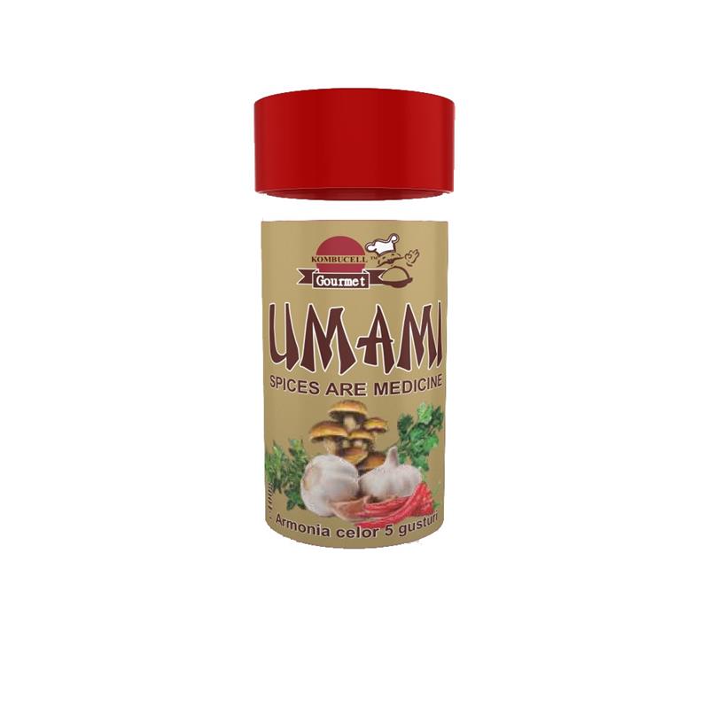 Condiment Umami 60 grame Medica