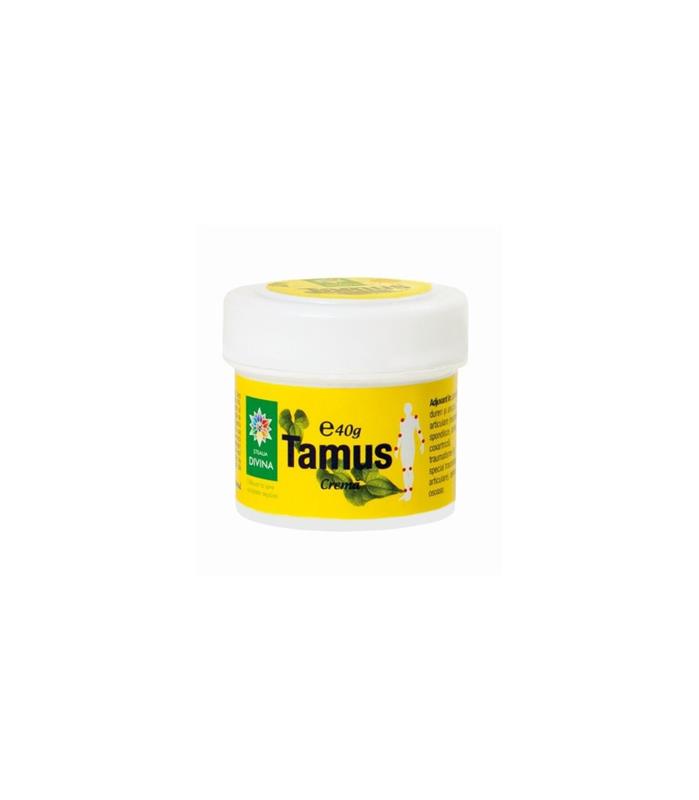 Crema Antireumatic Tamus Santo Raphael 40ml