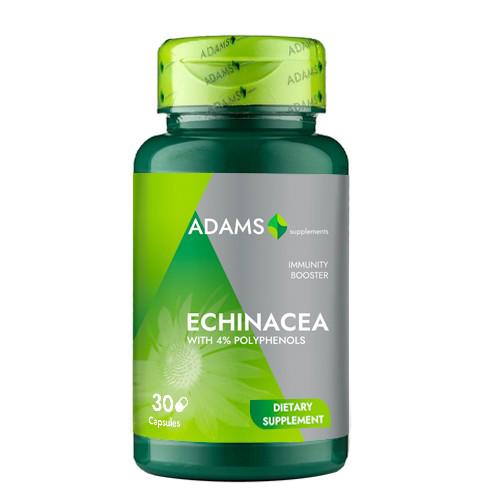 Echinacea 400 miligrame 30 capsule Adams Vision