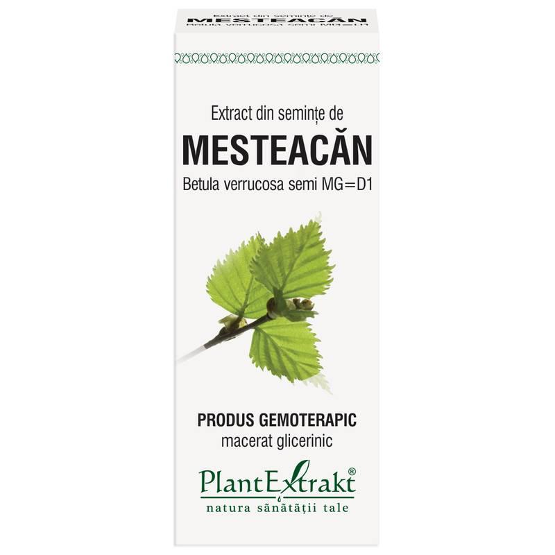Extract Mesteacan Seminte 50ml PlantExtrakt