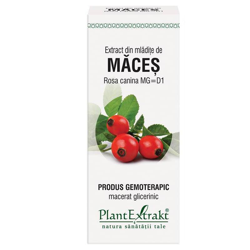 Extract Mladite Maces 50ml PlantExtrakt