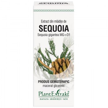 Extract Mladite Sequoia 50ml PlantExtrakt