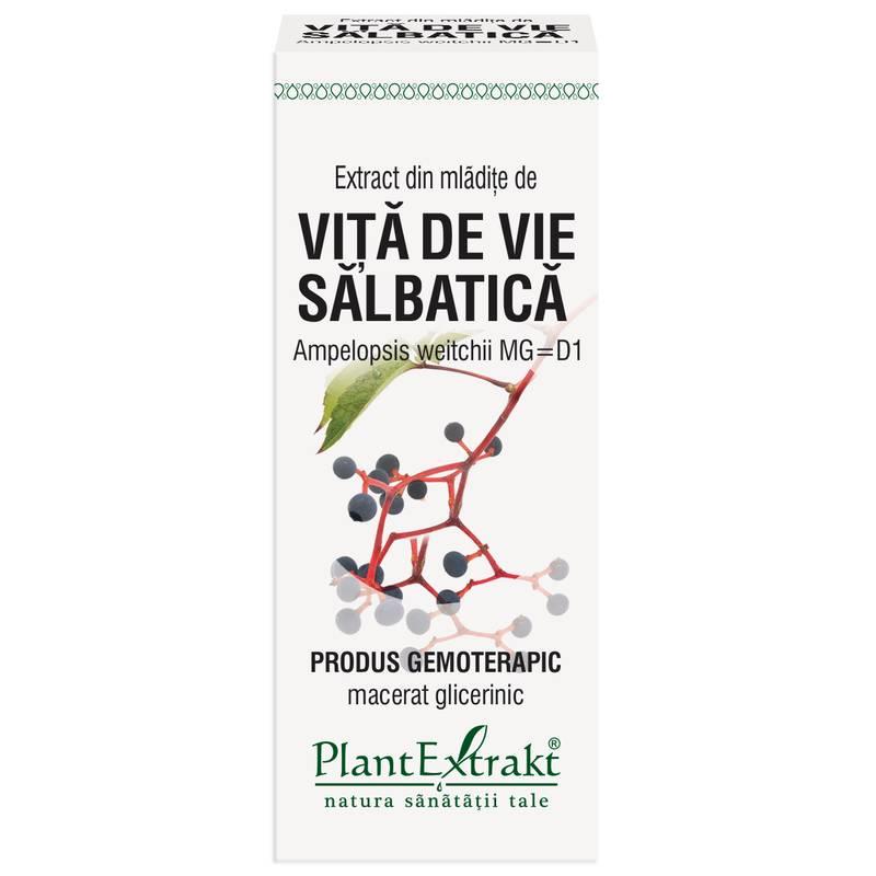 Extract Mladite Vita de Vie Salbatica 50ml PlantExtrakt