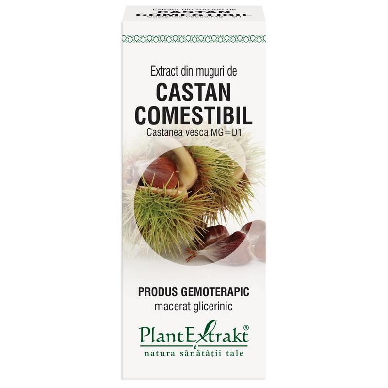 Extract Muguri Castan Comestibil 50ml PlantExtrakt