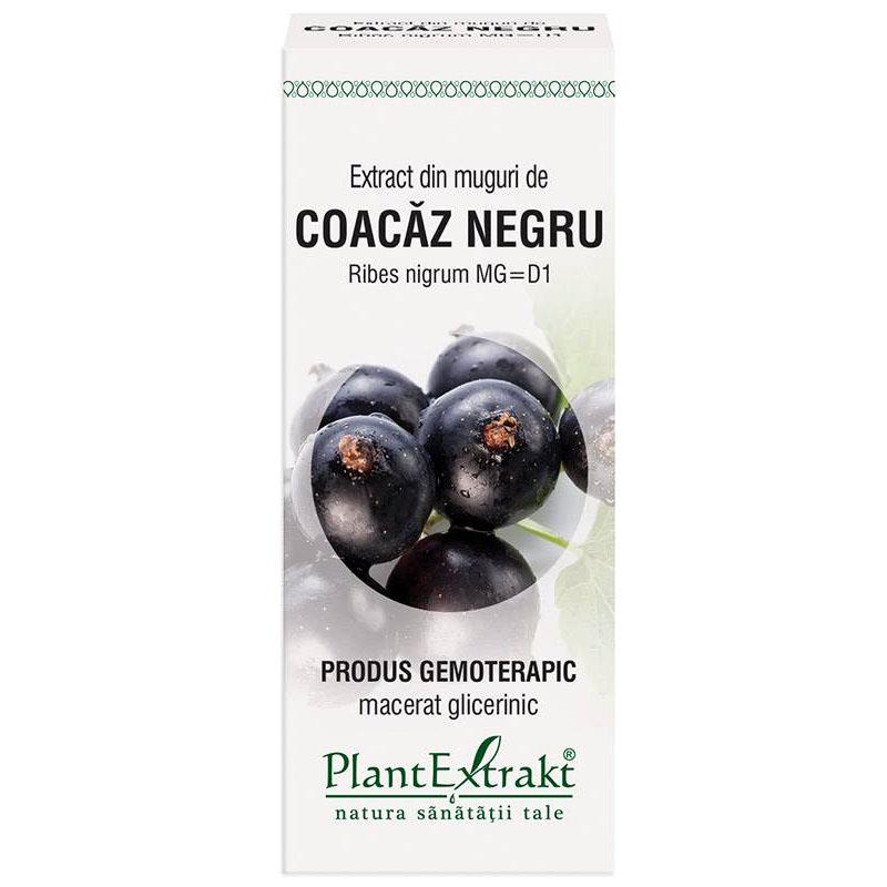 Extract Muguri Coacaz Negru 50ml PlantExtrakt