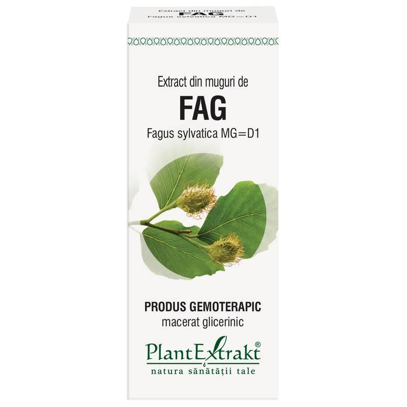 Extract Muguri Fag 50ml PlantExtrakt