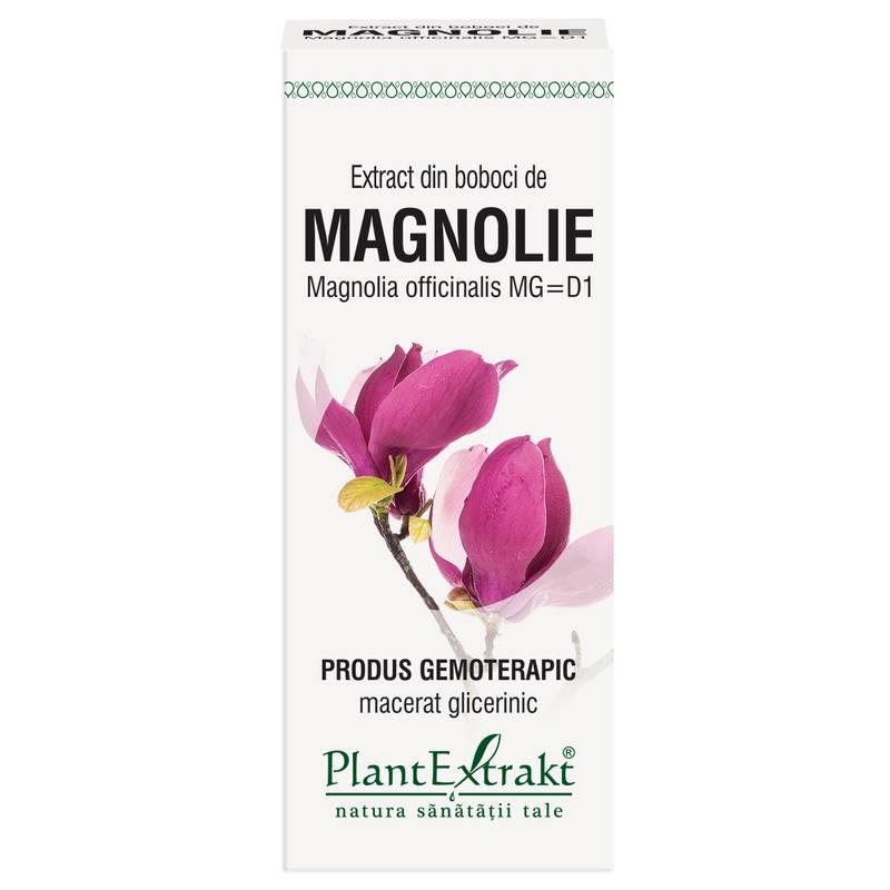 Extract Muguri Magnolie 50ml PlantExtrakt