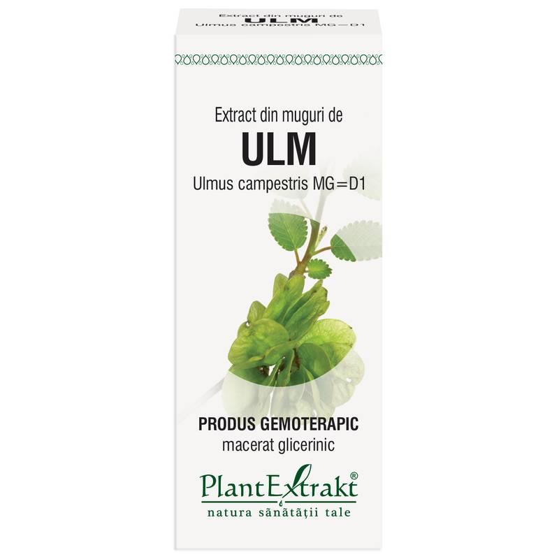 Extract Muguri Ulm 50ml PlantExtrakt