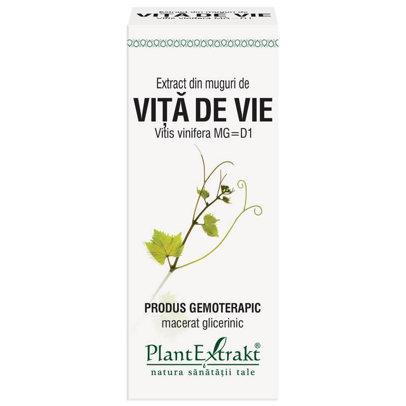 Extract Muguri Vita de Vie 50ml PlantExtrakt