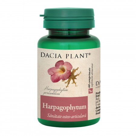 Harpagophytum Dacia Plant 60cpr