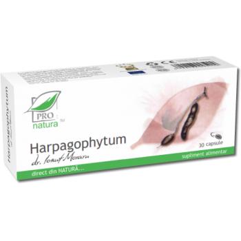 Harpagophytum Medica 30cps