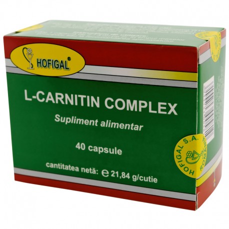 L Carnitin Complex Hofigal 40cps