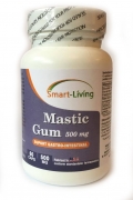 Mastic Gum Smart Living 60cps