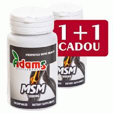 MSM 1000mg Adams Vision 30+30cps