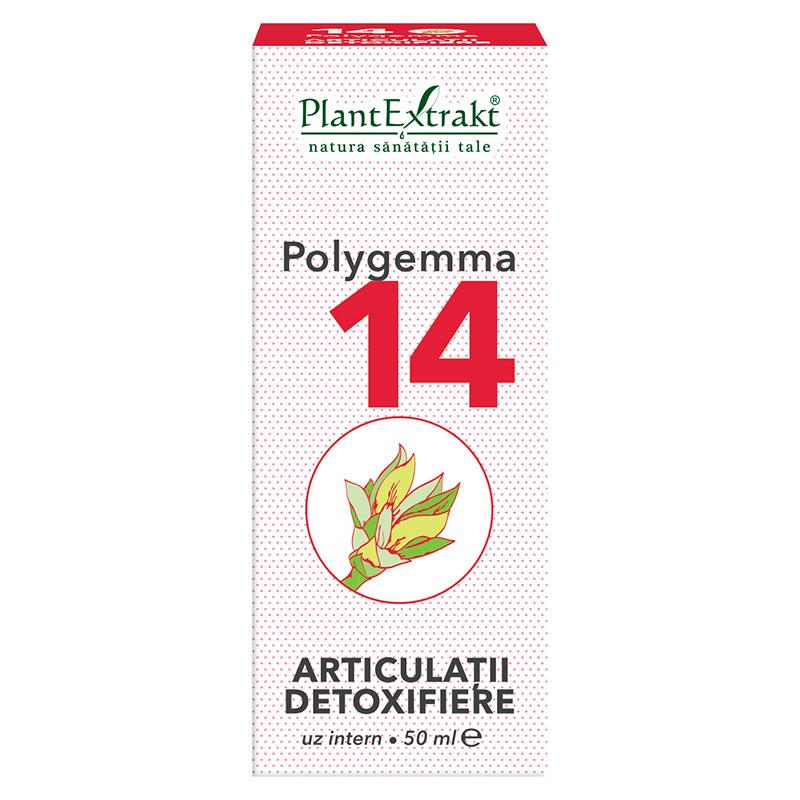 Polygemma 14 - Articulatii Detoxifiere 50ml PlantExtrakt