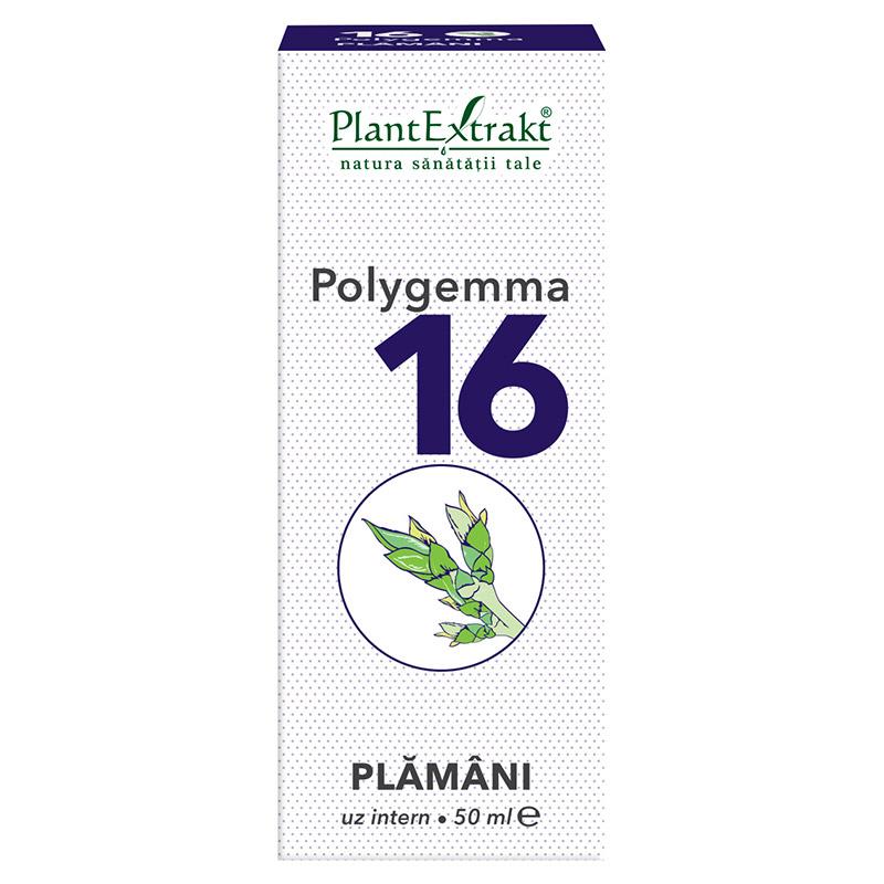 Polygemma 16 - Plamani Detoxifiere 50ml PlantExtrakt