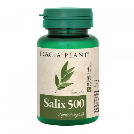 Salix 500 Dacia Plant 60cpr