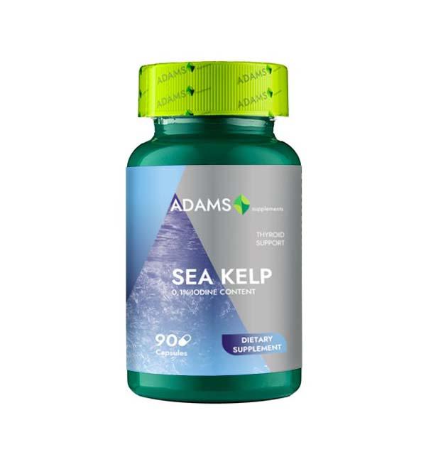 Sea Kelp Iod Natural 600 miligrame 90 capsule Adams Vision
