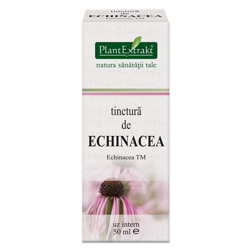 Tinctura Echinacea 50ml PlantExtrakt