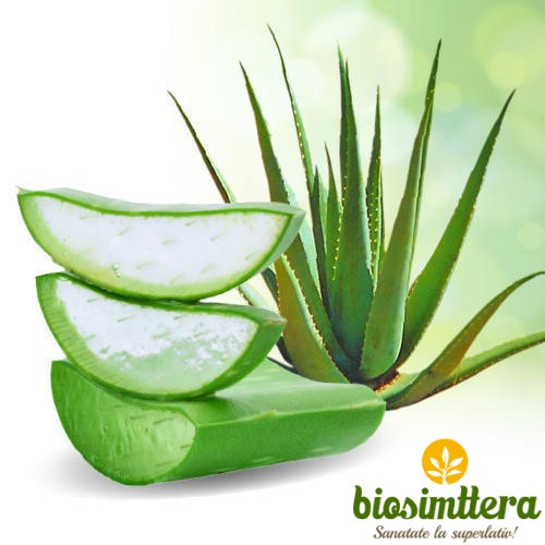 Beneficiile pe care le ofera Aloe Vera